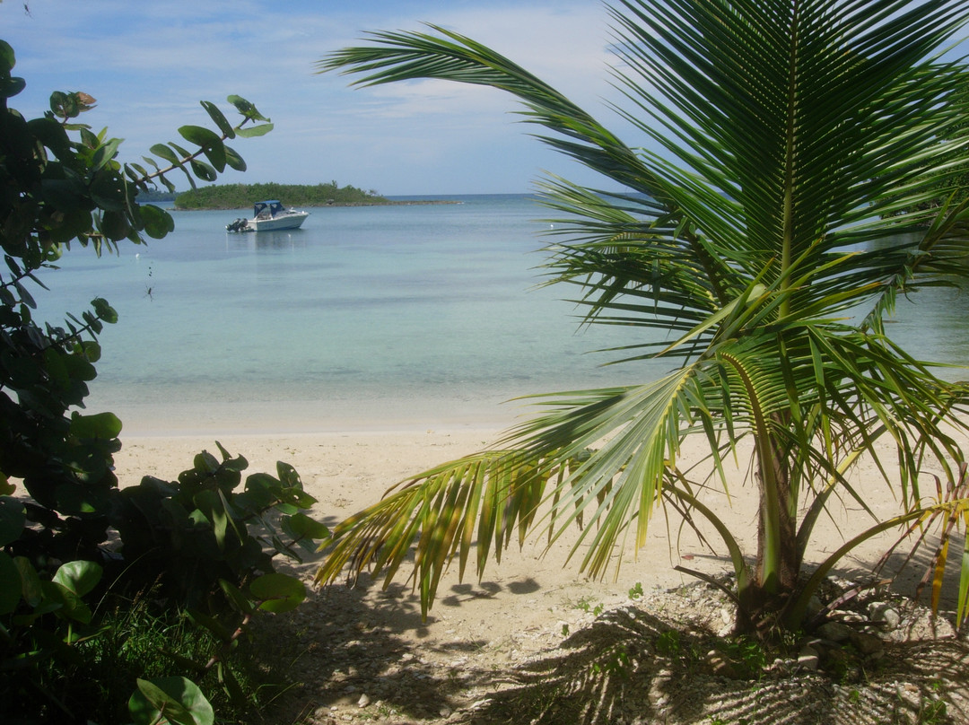 Half Moon Bay-内格里尔必去景点