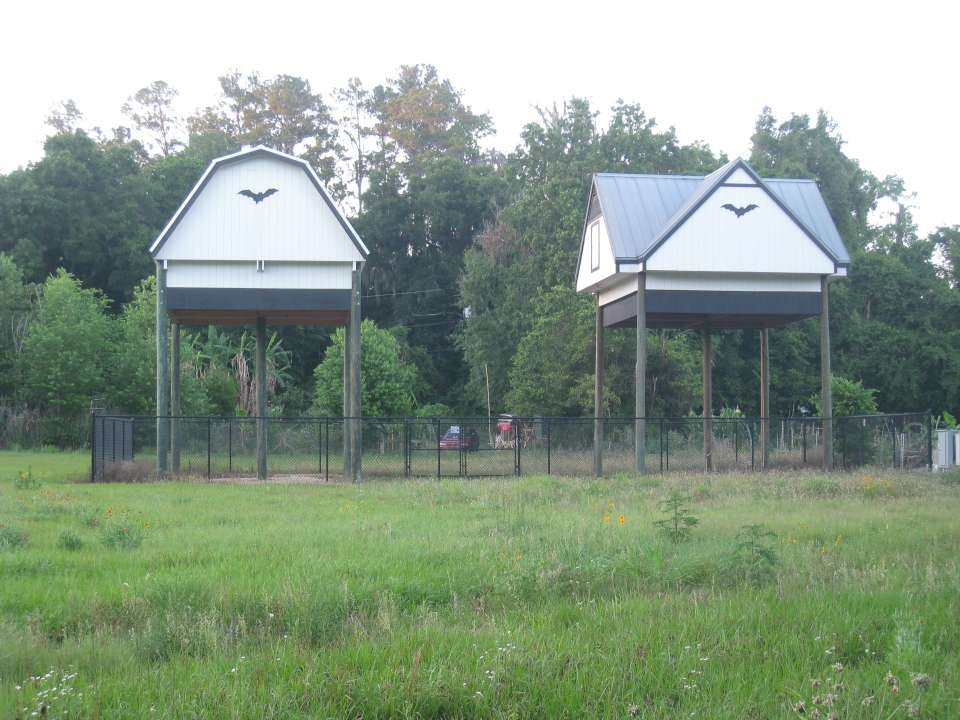 University of Florida Bat House-盖恩斯维尔必去景点