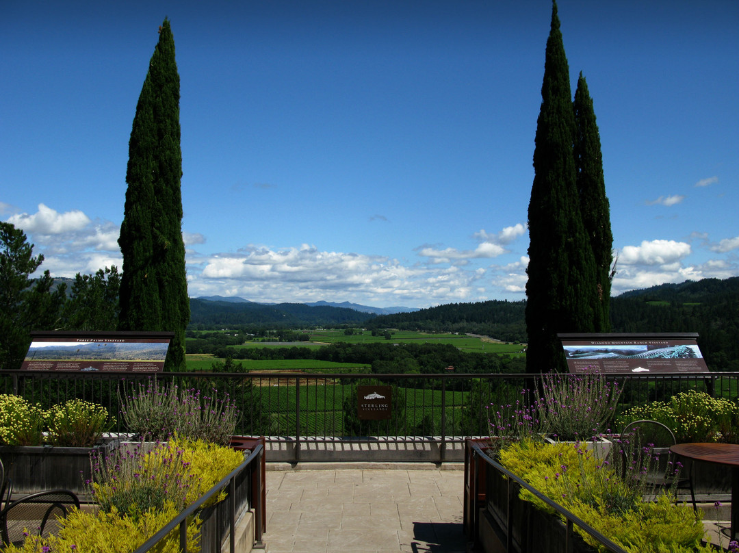 史特林酒庄-卡利斯托加必去景点