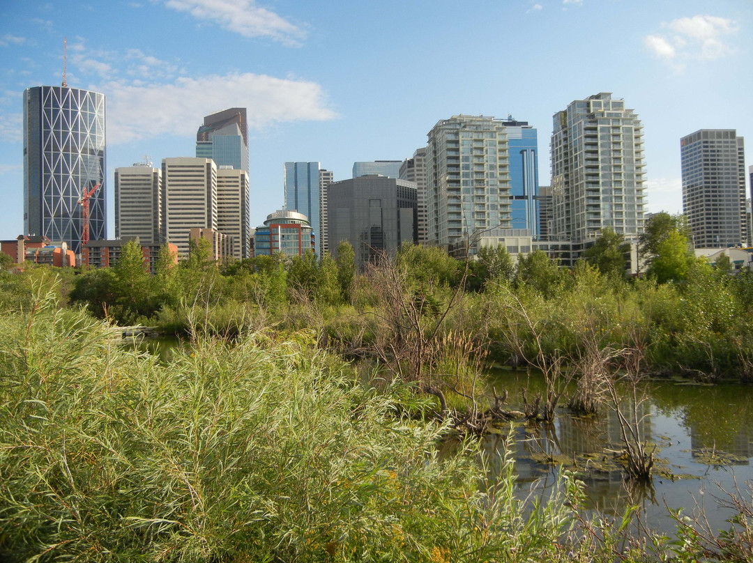 王子岛公园 -卡尔加里必去景点