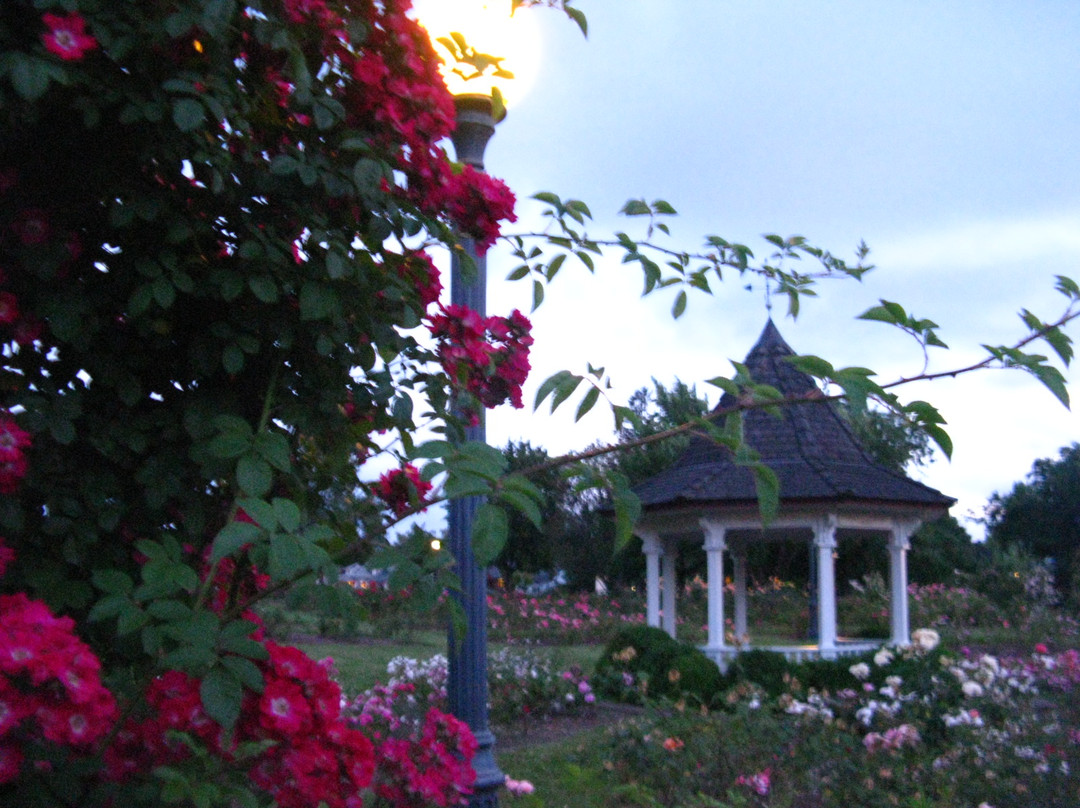 Bush's Pasture Park-塞勒姆必去景点