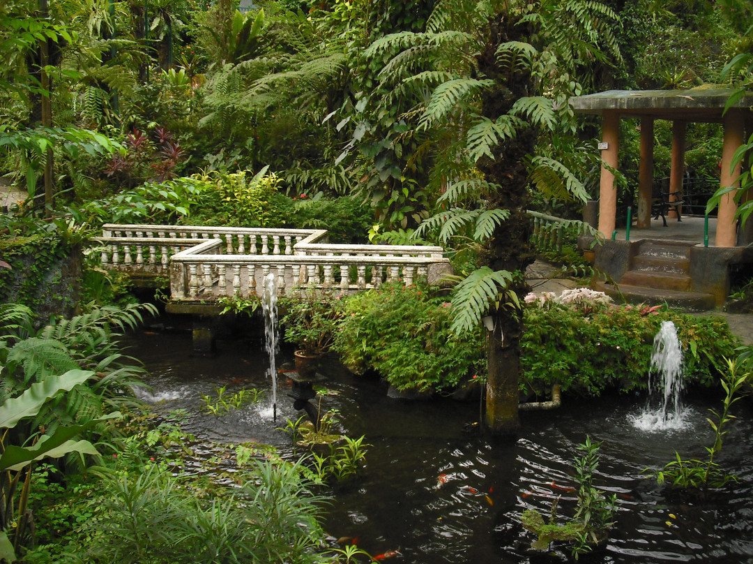 蝴蝶公园-吉隆坡必去景点