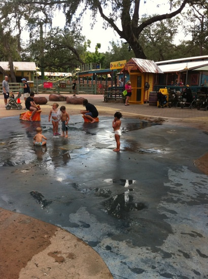 罗瑞公园动物园-坦帕必去景点