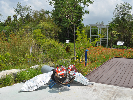 Key West Tropical Forest and Botanical Garden-基韦斯特必去景点
