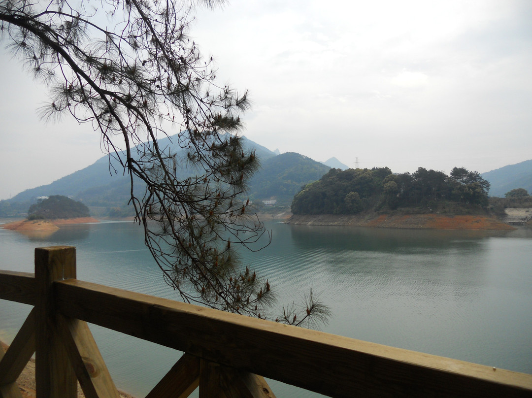 流溪河森林公园-从化市必去景点