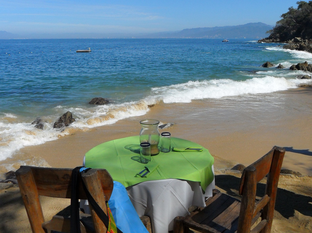 Vallarta Adventures-瓦拉塔港必去景点