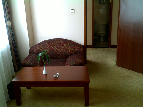 成都向阳大厦宾馆主图