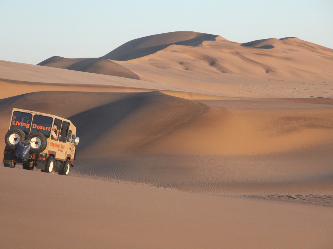 Tommy's Tours and Safaris-斯瓦科普蒙德必去景点