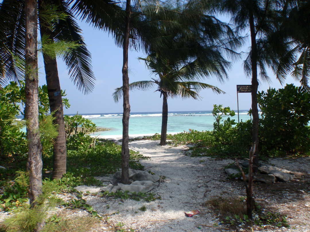 卡夫环礁旅游攻略图片