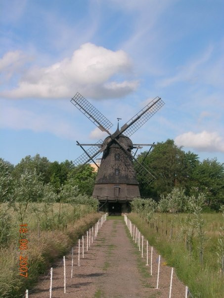 Fredriksdal Open-Air Museum and Botanical Garden景点图片