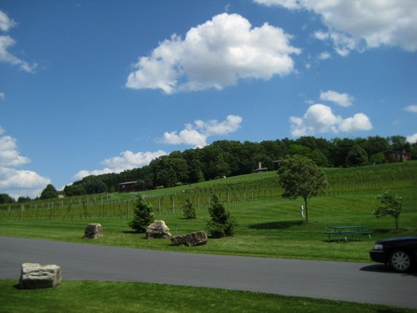 Clover Hill Vineyards & Winery景点图片