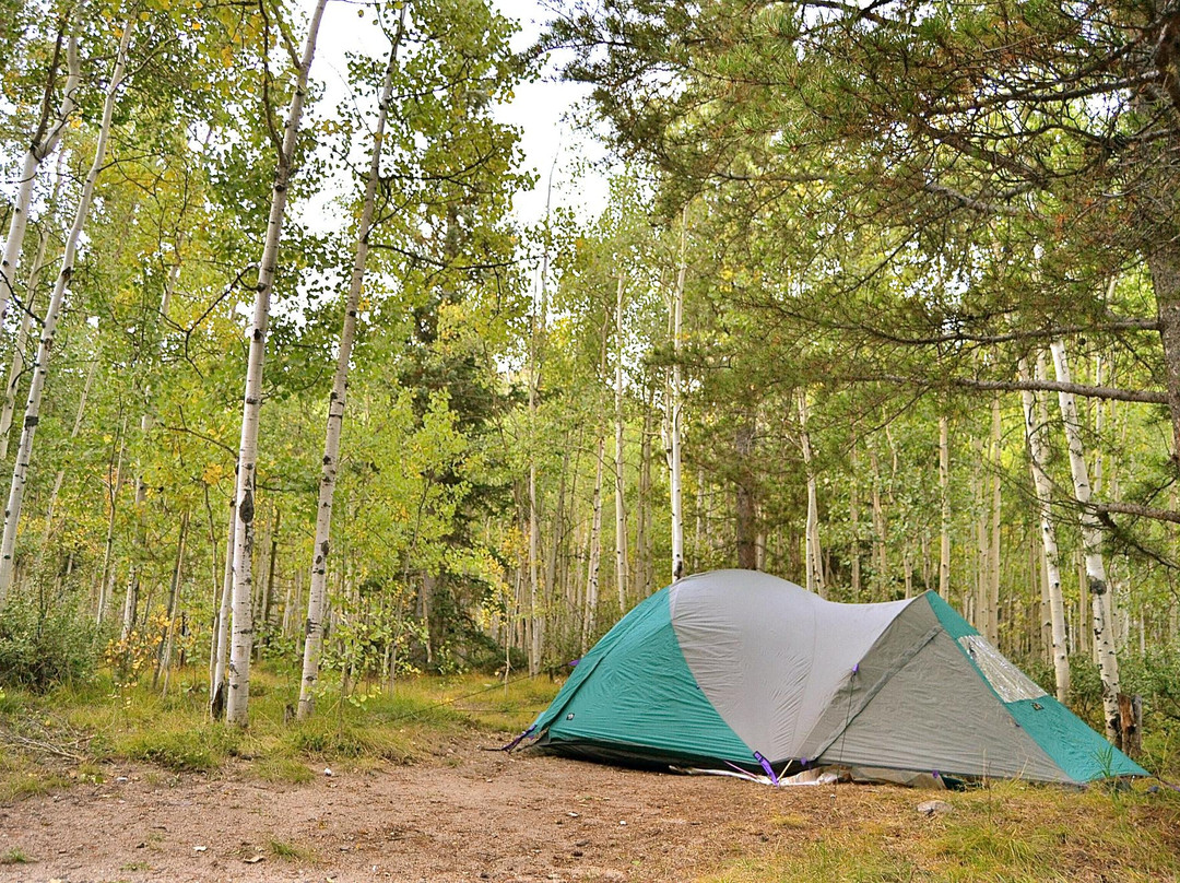 Collegiate Peaks Campground