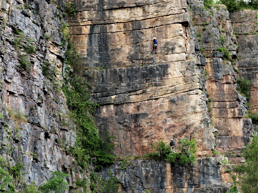 Llanymynech Rocks Nature Reserve
