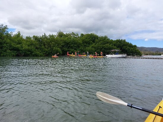 Kayak Aventure Mangrove-Ducos必去景点
