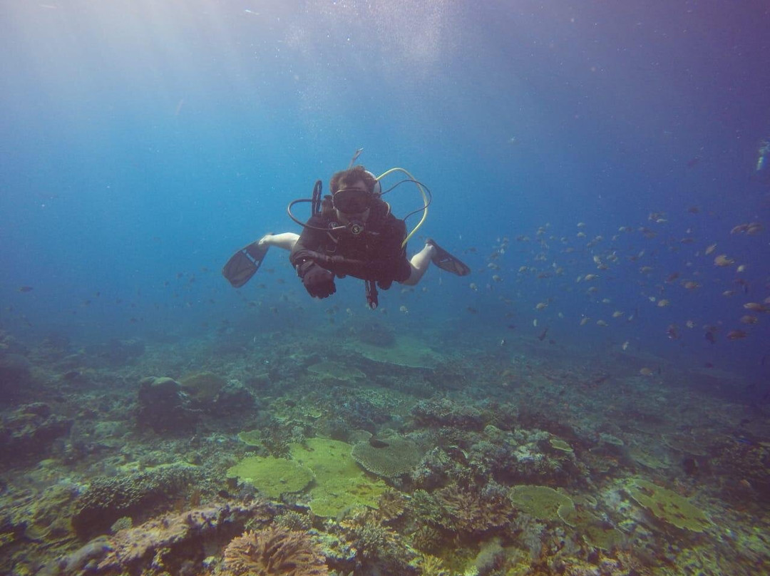 Cn Dive Komodo景点图片