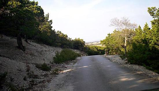 Fossil Rim Wildlife Center-Glen Rose必去景点