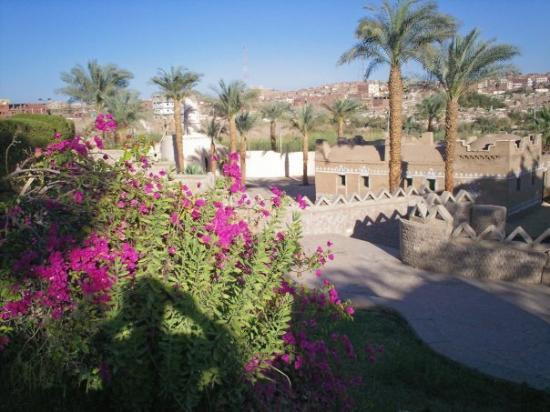 努比亚博物馆-亚斯文必去景点