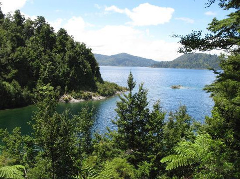 Walking Legends-罗托鲁瓦必去景点