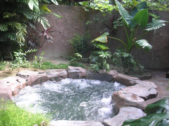 Felda Residence Hot Spings-宋溪必去景点