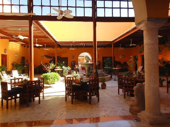 Casa de los Venados景点图片