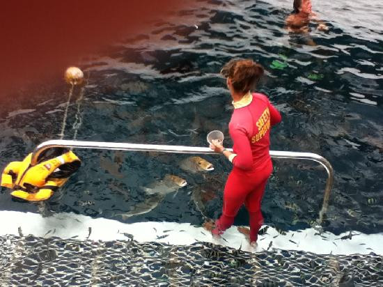 Quicksilver Cruises-道格拉斯港必去景点