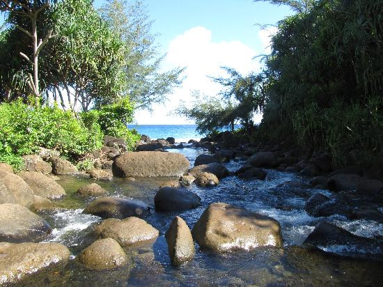 Hanakapiai Falls-可爱岛必去景点