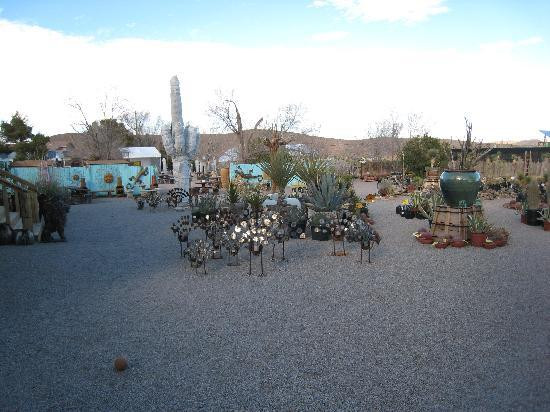 Cactus Joe's Blue Diamond Nursery-拉斯维加斯必去景点