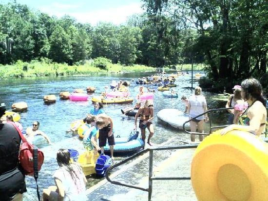 Ichetucknee Springs State Park景点图片
