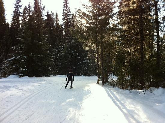 Caledonia Nordic Ski Club景点图片