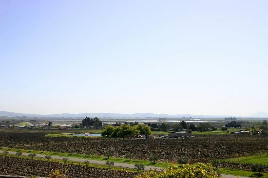 Gloria Ferrer Caves & Vineyards景点图片