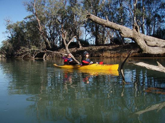 Murray River-新南威尔士州必去景点