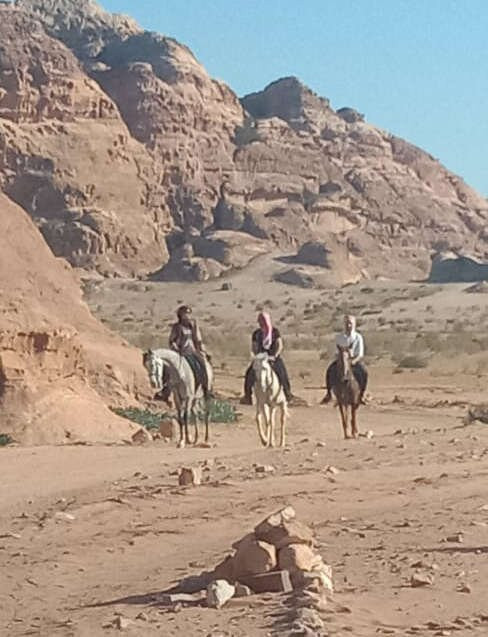 Mountain Horse Stables Little Petra-Al-Baydha必去景点