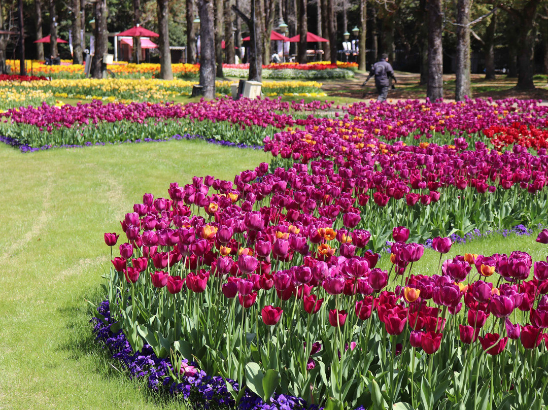 Palace Huis Ten Bosch-佐世保市必去景点