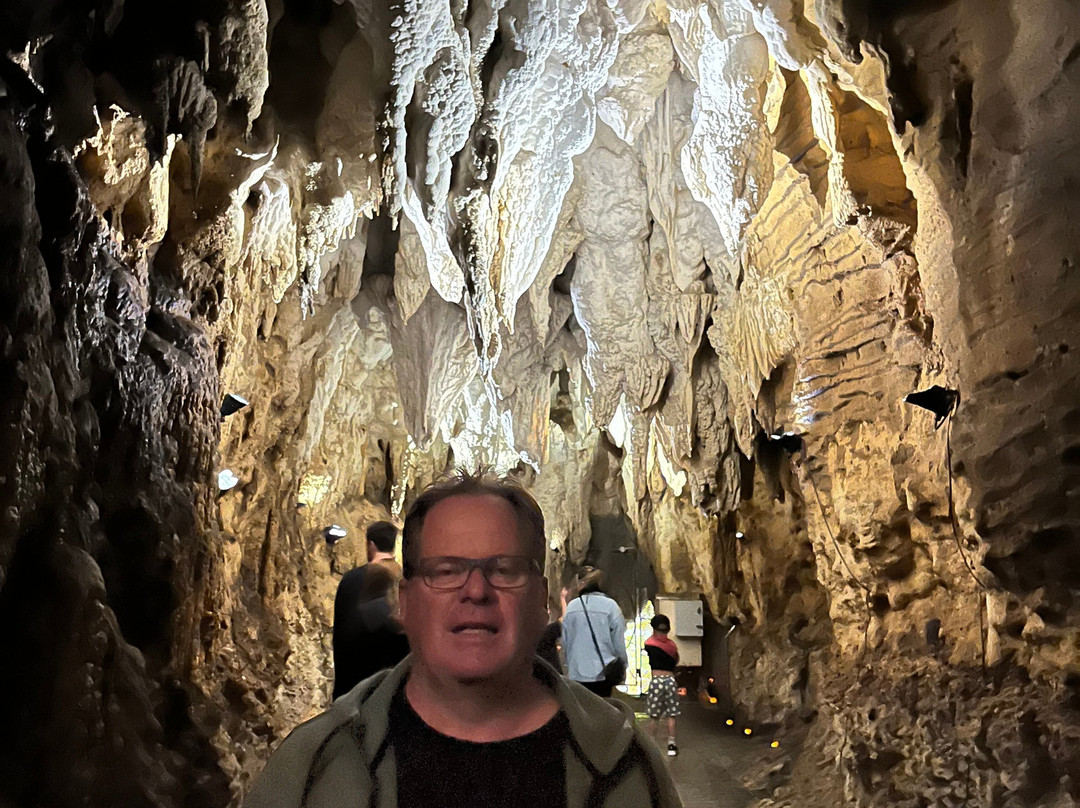 The Waitomo Village Chalets - Home Of Kiwipaka主图