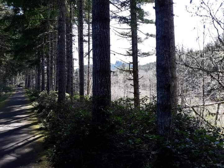 Fishhawk eCyclery-Vernonia必去景点