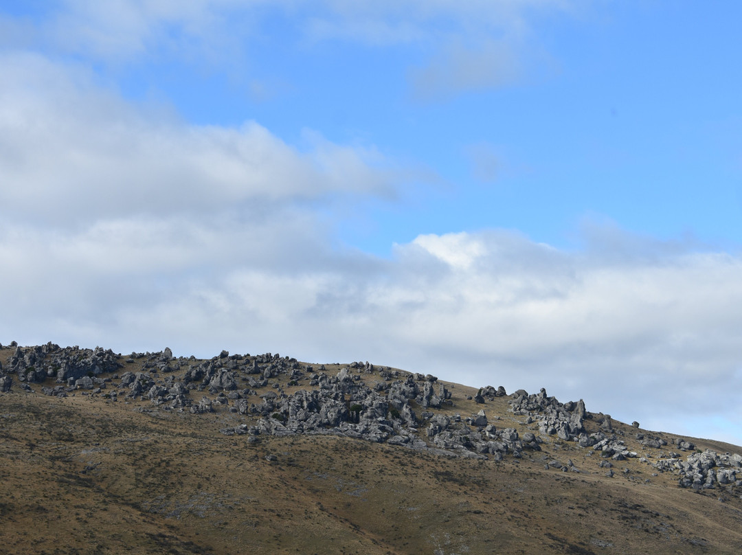 Kura Tawhiti Conservation Area-Castle Hill必去景点