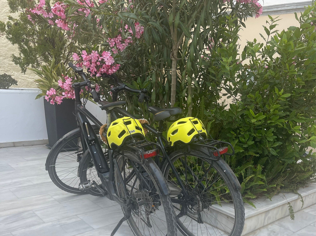 Archontiko Eleni Boutique Hotel主图