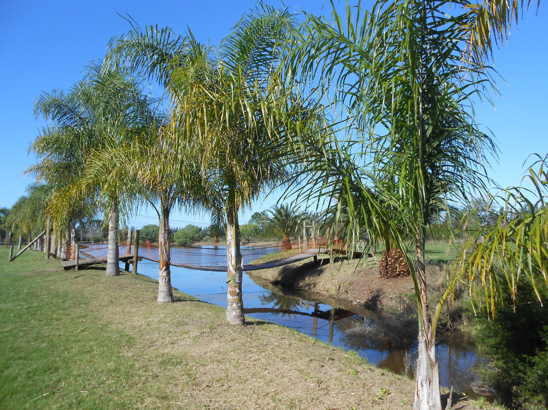 Termas Concepcion Entrerios景点图片