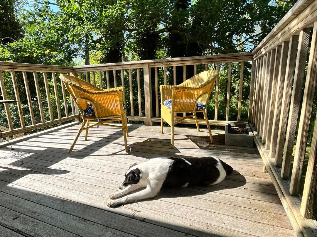 Inn at the Oaks主图