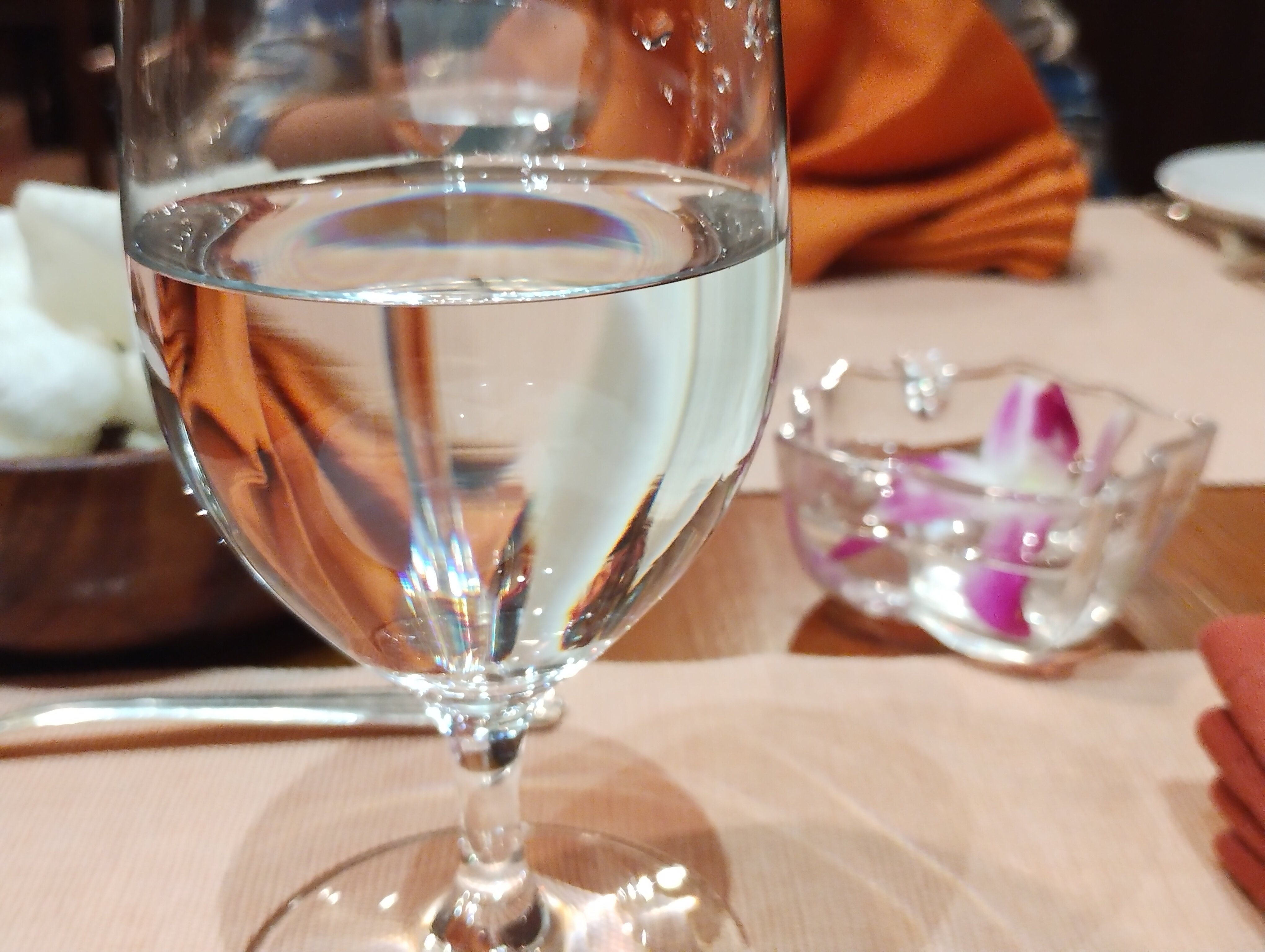 欧贝罗伊大加尔各答酒店-餐饮