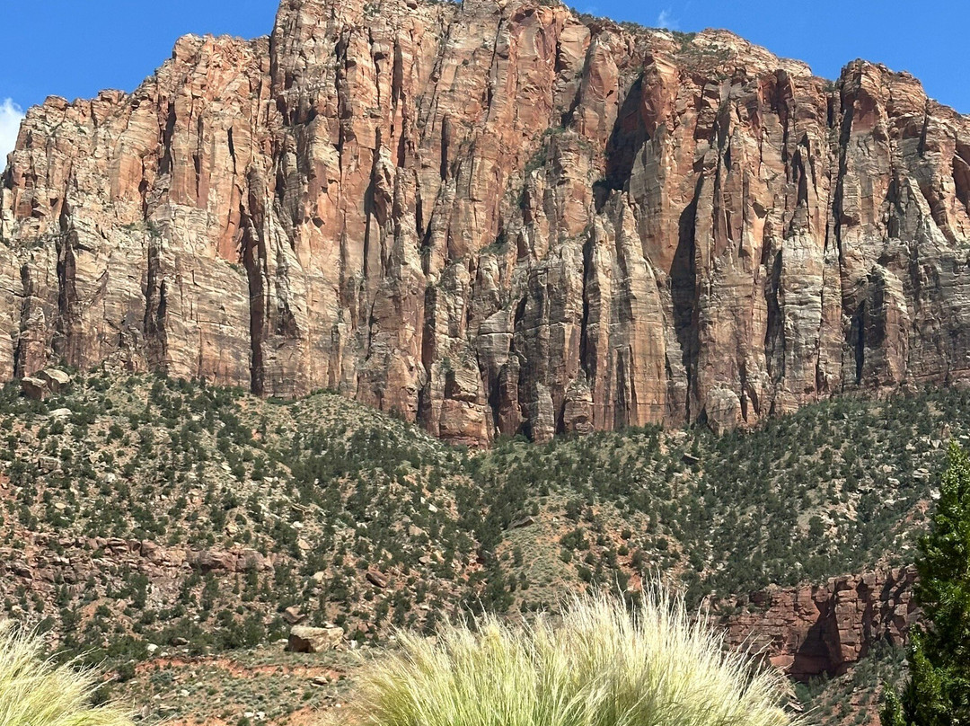 Pa'rus Trail-锡安国家公园必去景点