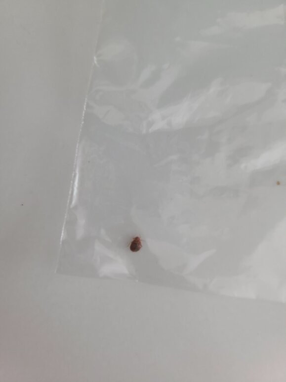 列克星敦源宿酒店主图