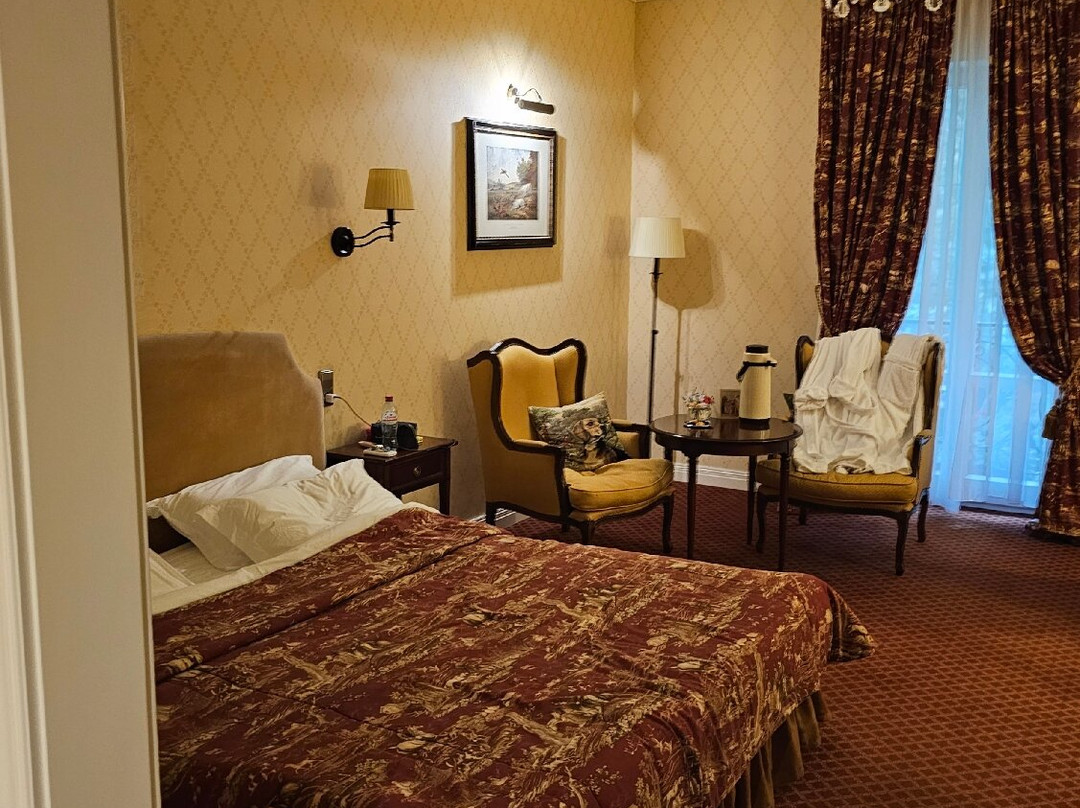 Kronon Park Hotel主图