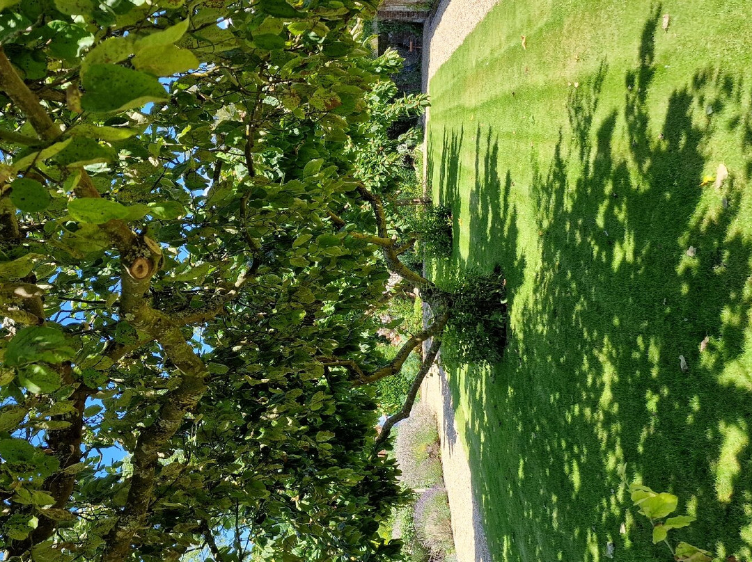 Belmont House and Gardens景点图片