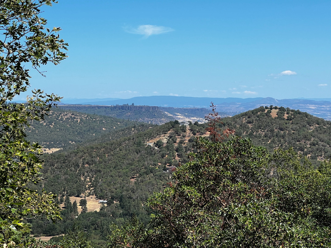 Rogue Valley Zipline Adventures-Central Point必去景点