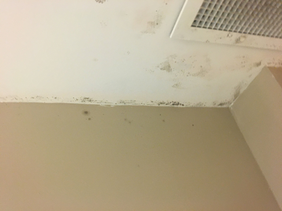 Super 8 by Wyndham Ava主图