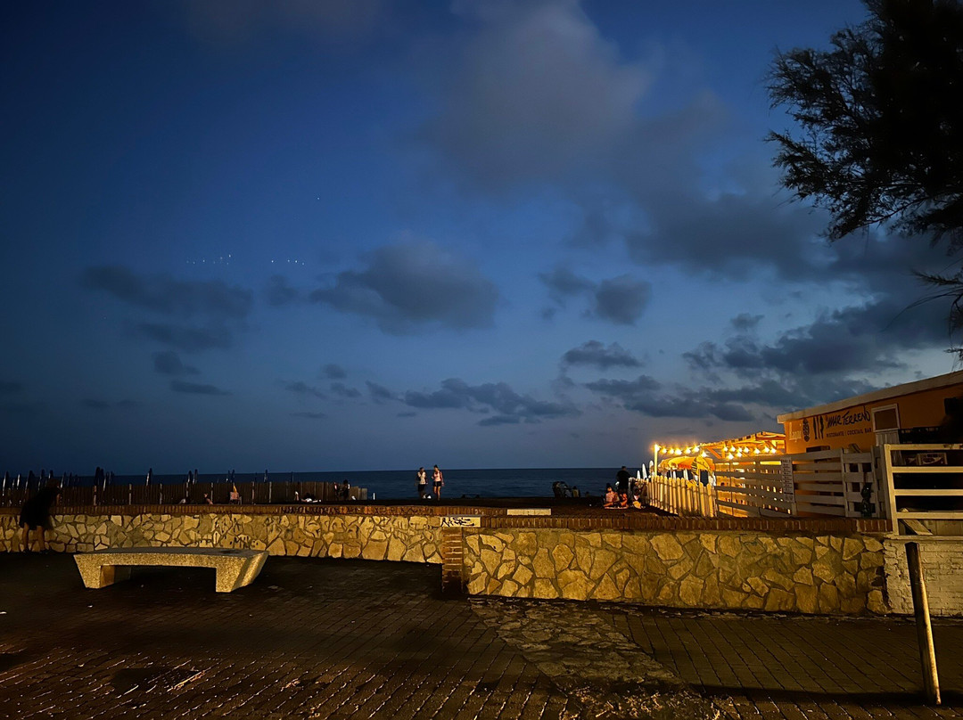 Sarusso Playa Pizza & Fish