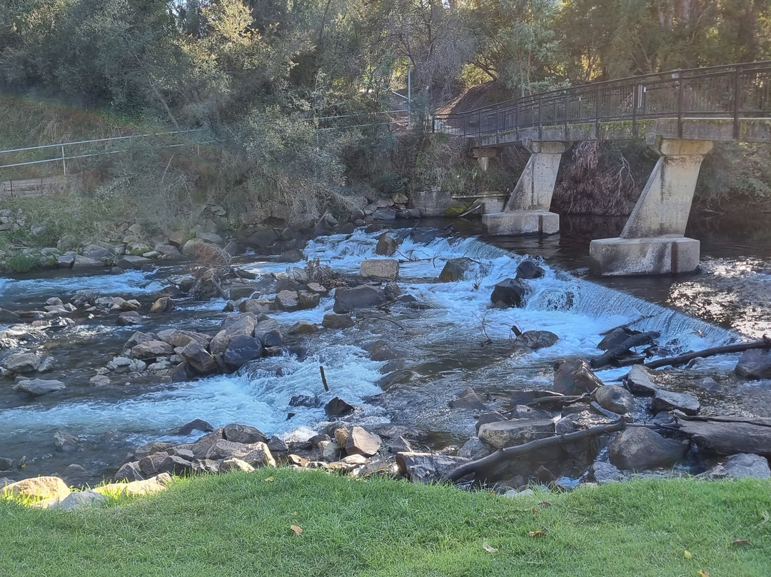 Cherry Walk Nature Trail-布赖特必去景点