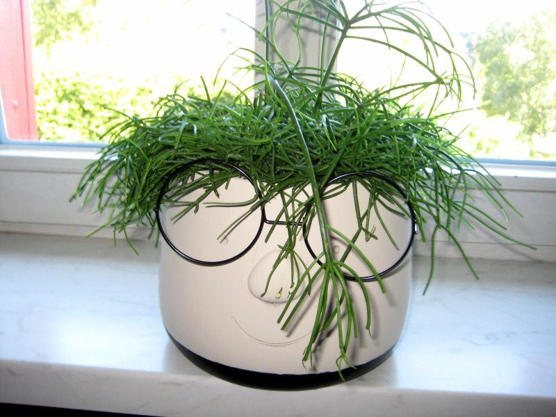 Wochen Markt in Hillesheim.