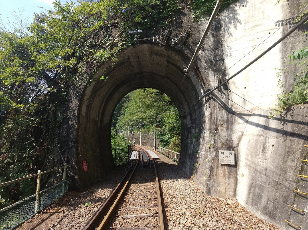 Tarusawa Tunnel景点图片